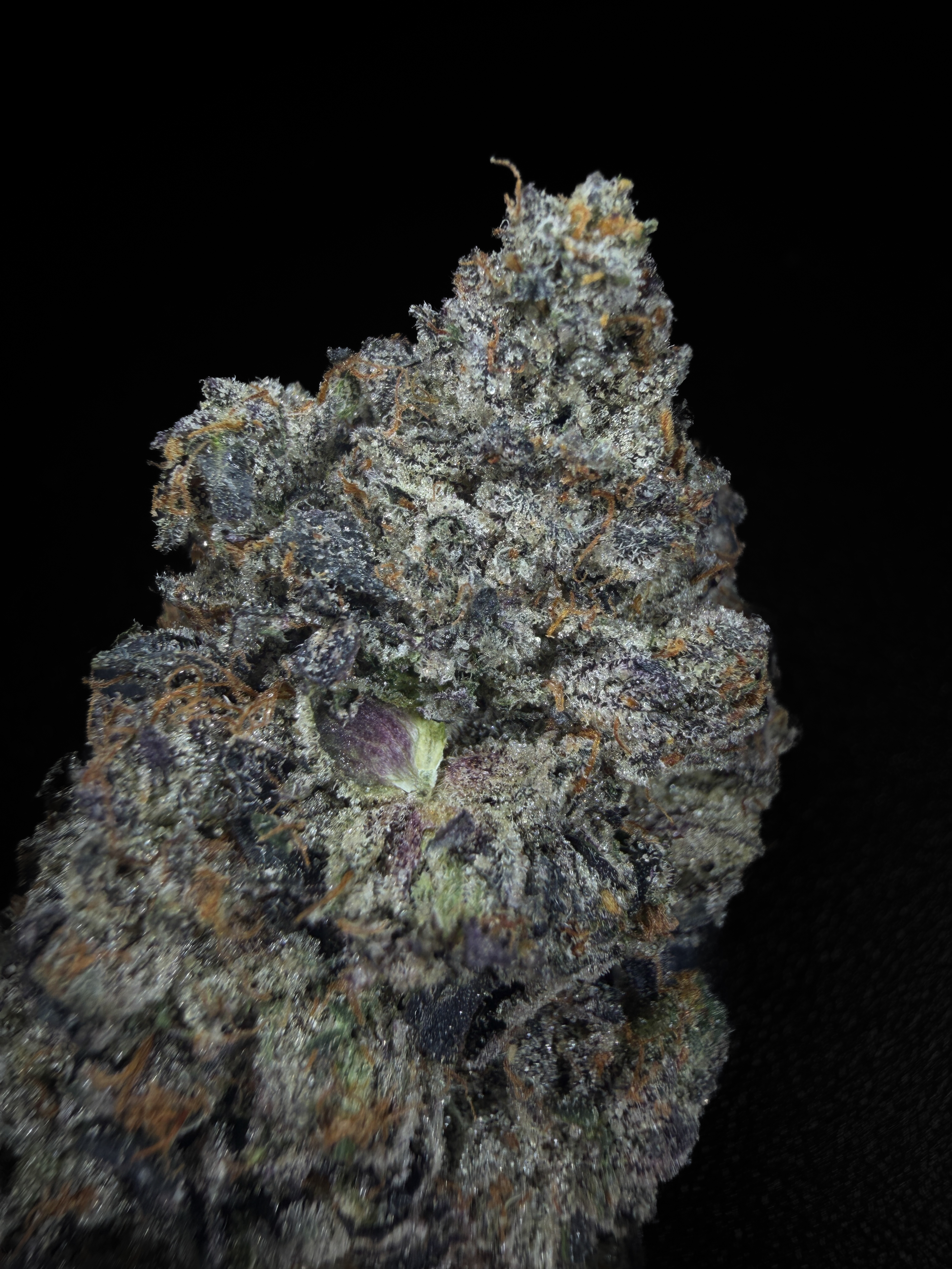 AAAA+ LSO indica flower from Pinkzotics, same-day weed delivery Toronto and the GTA