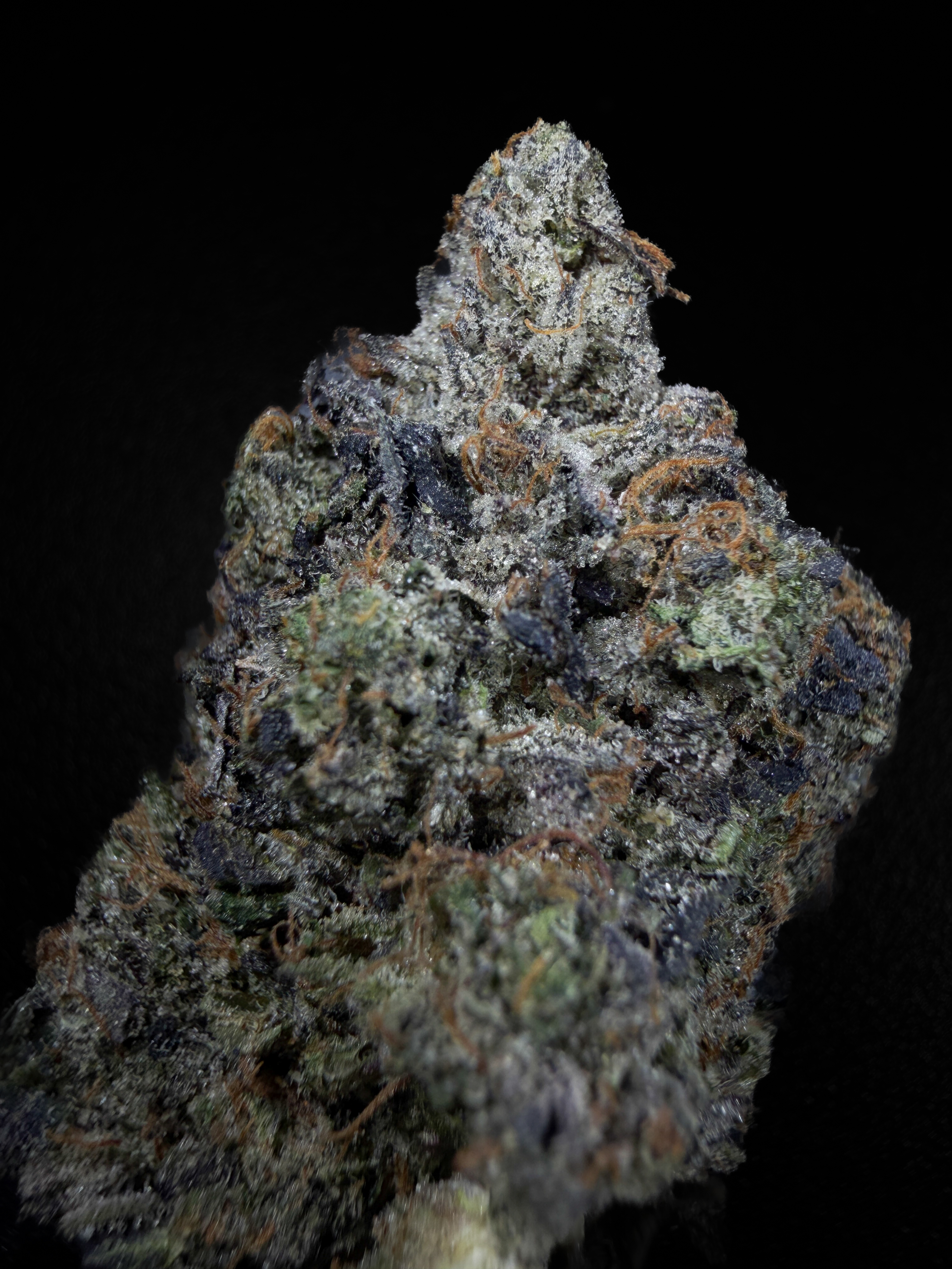 Predator Pink, AAAA+ LSO indica flower from Pinkzotics, Toronto and the GTA