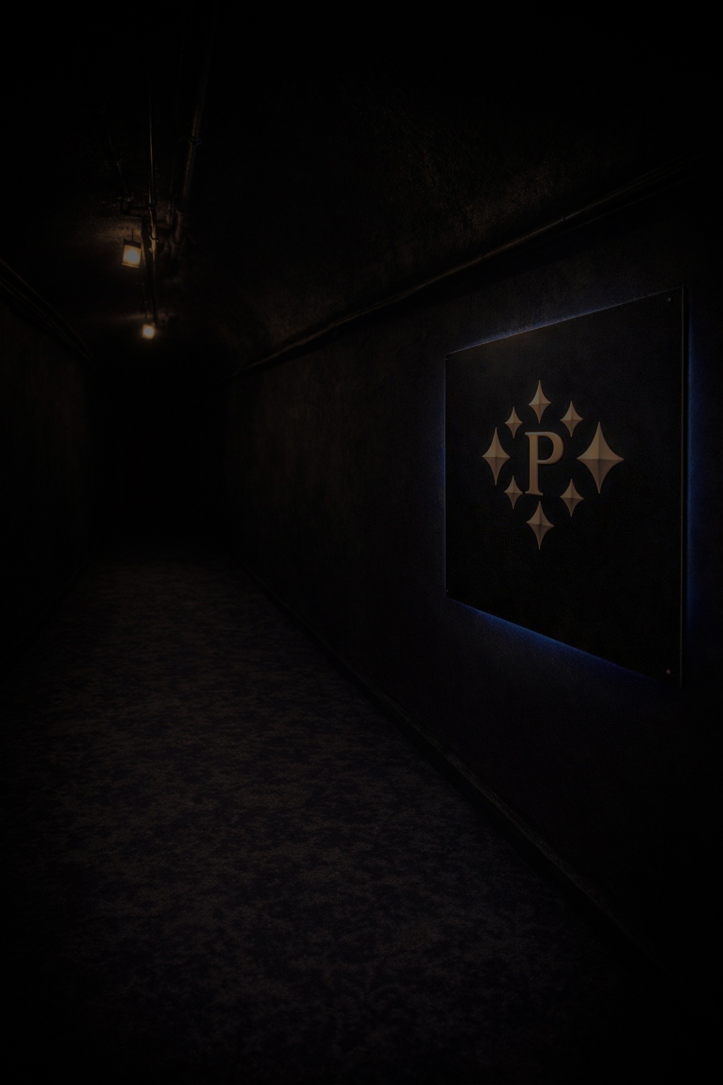 Pinkzotics corridor installation