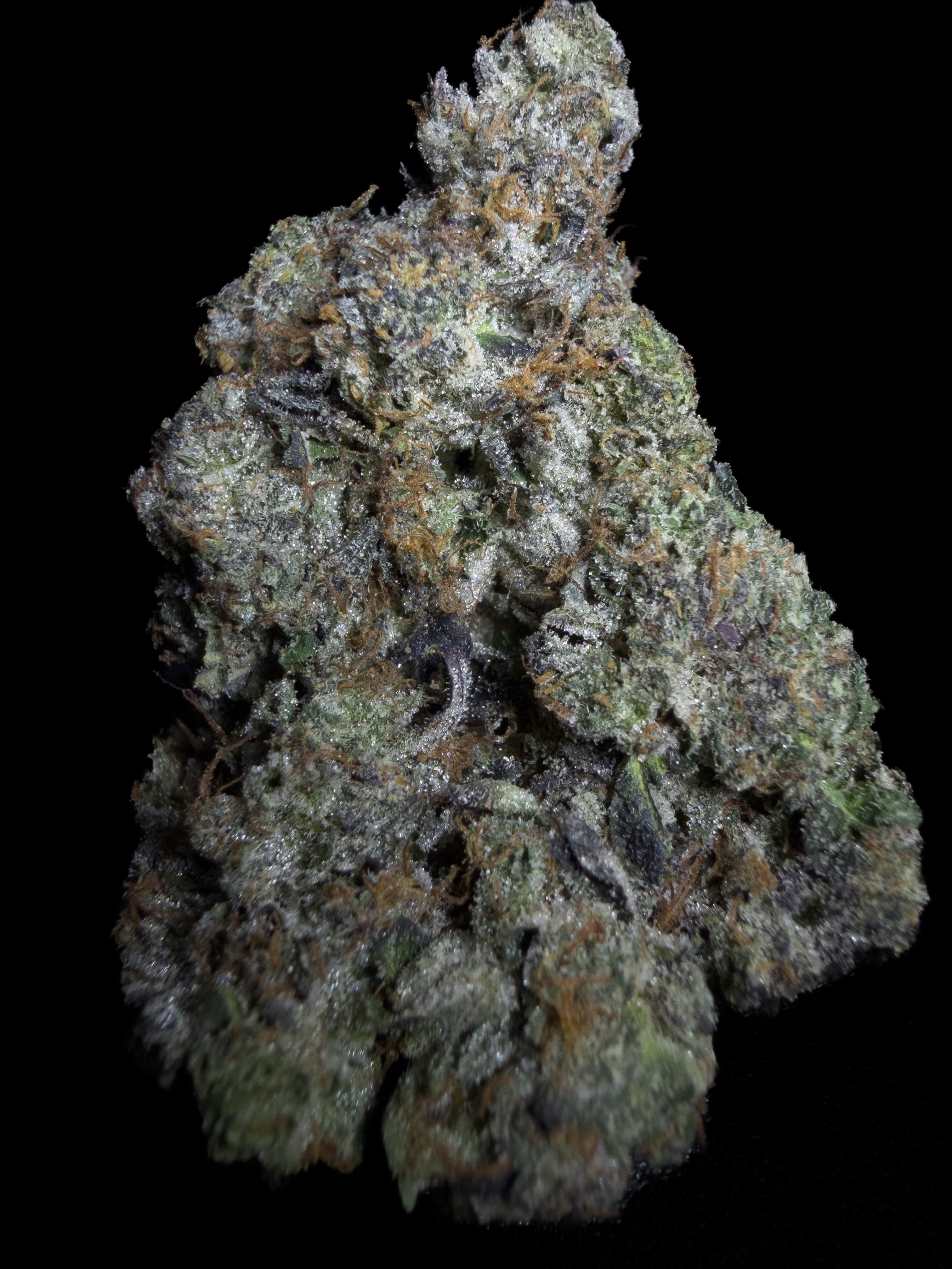 Black Tuna, AAAA+ LSO indica flower from Pinkzotics, Toronto and the GTA