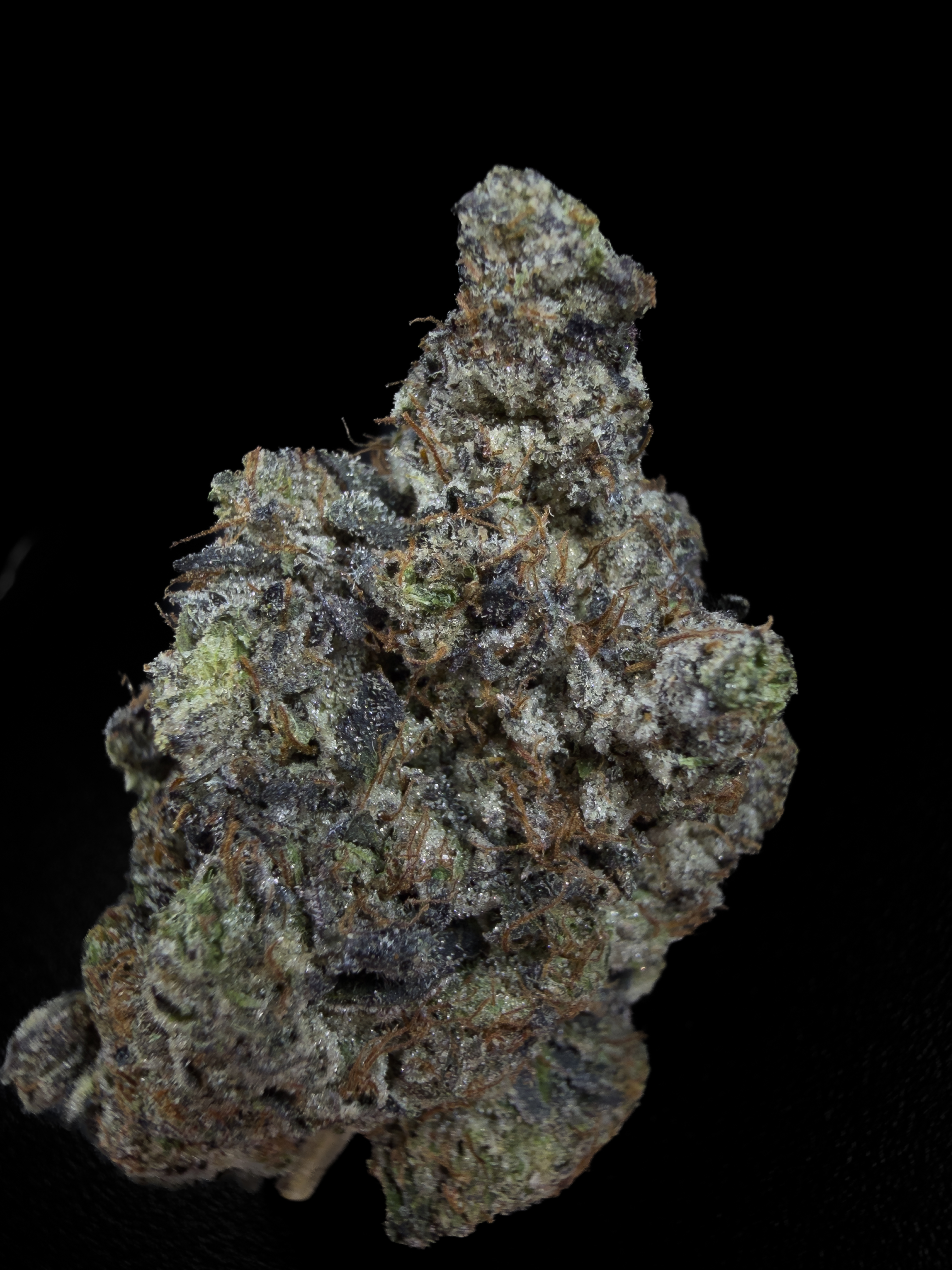 Greasy Pink Bubba, AAAA+ LSO indica flower from Pinkzotics, Toronto and the GTA