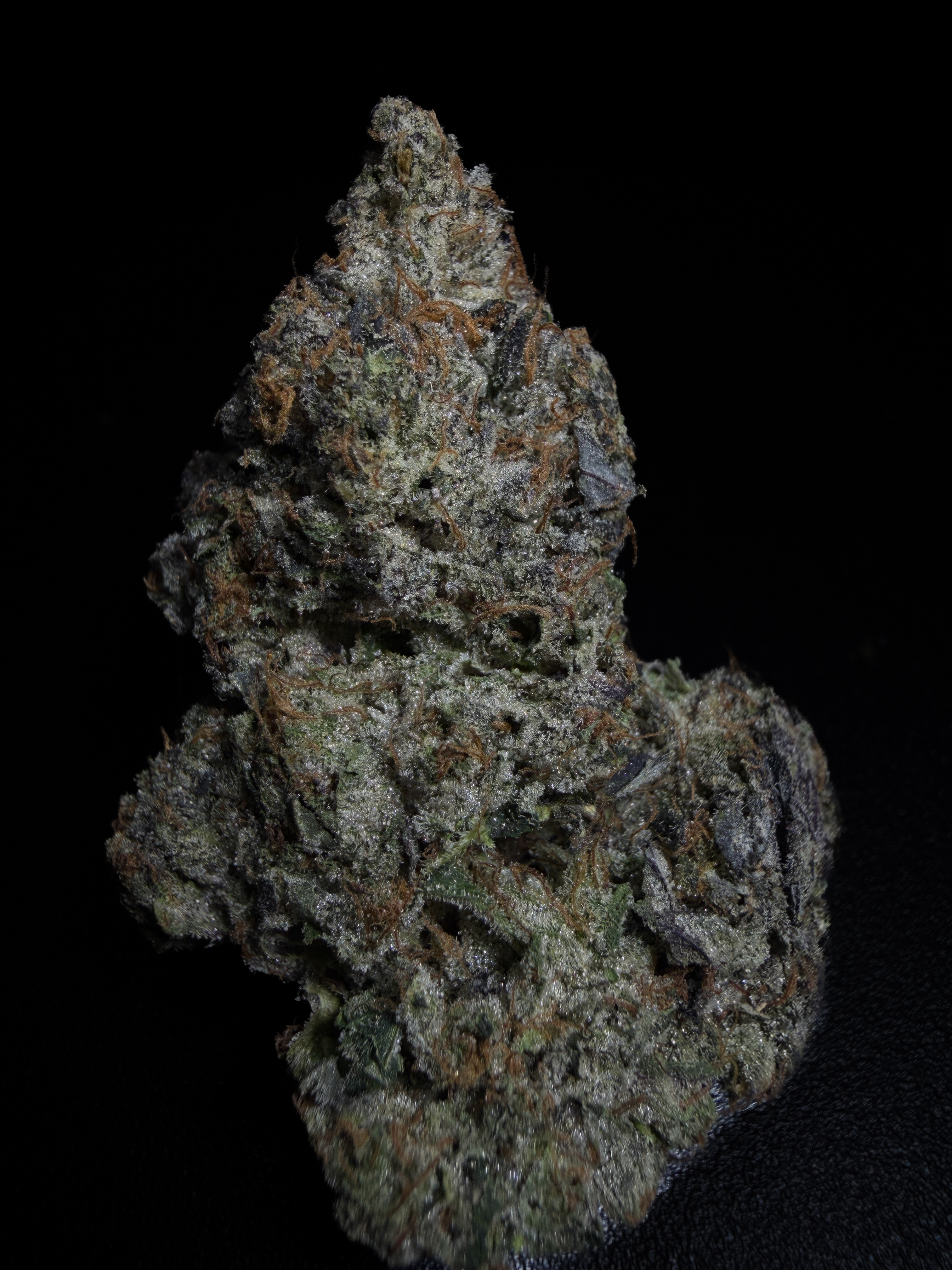Gucci Pink, AAAA+ LSO indica flower from Pinkzotics, Toronto and the GTA