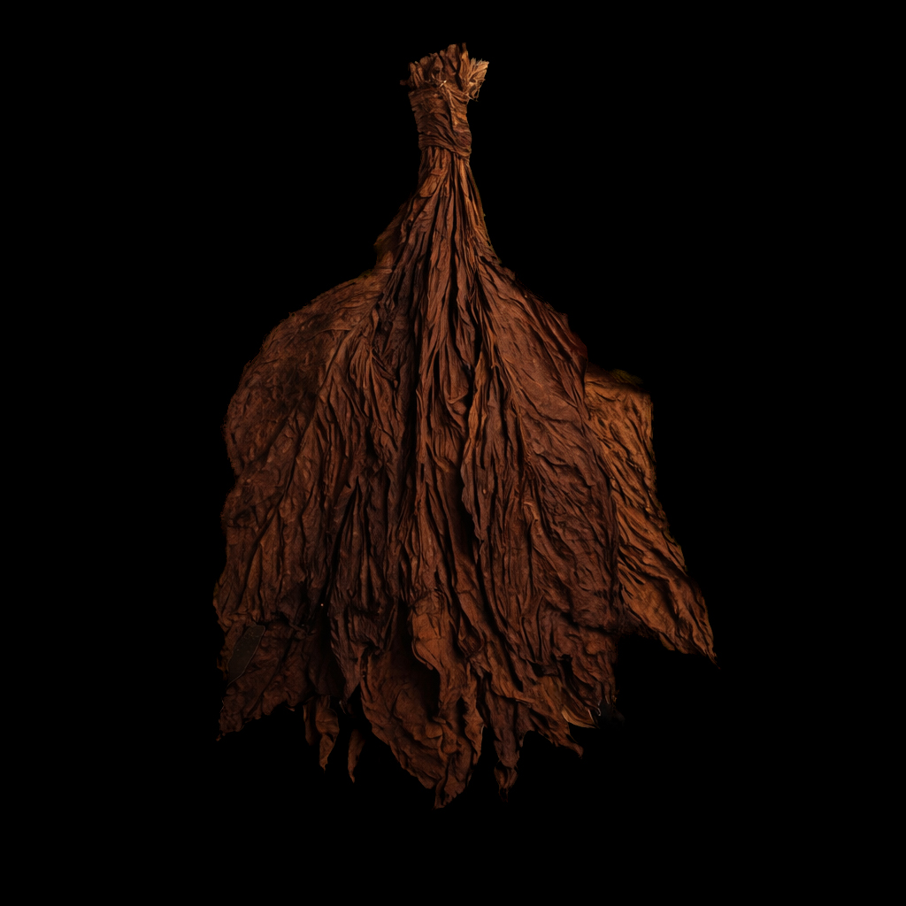 Red Rose Grabba Leaf