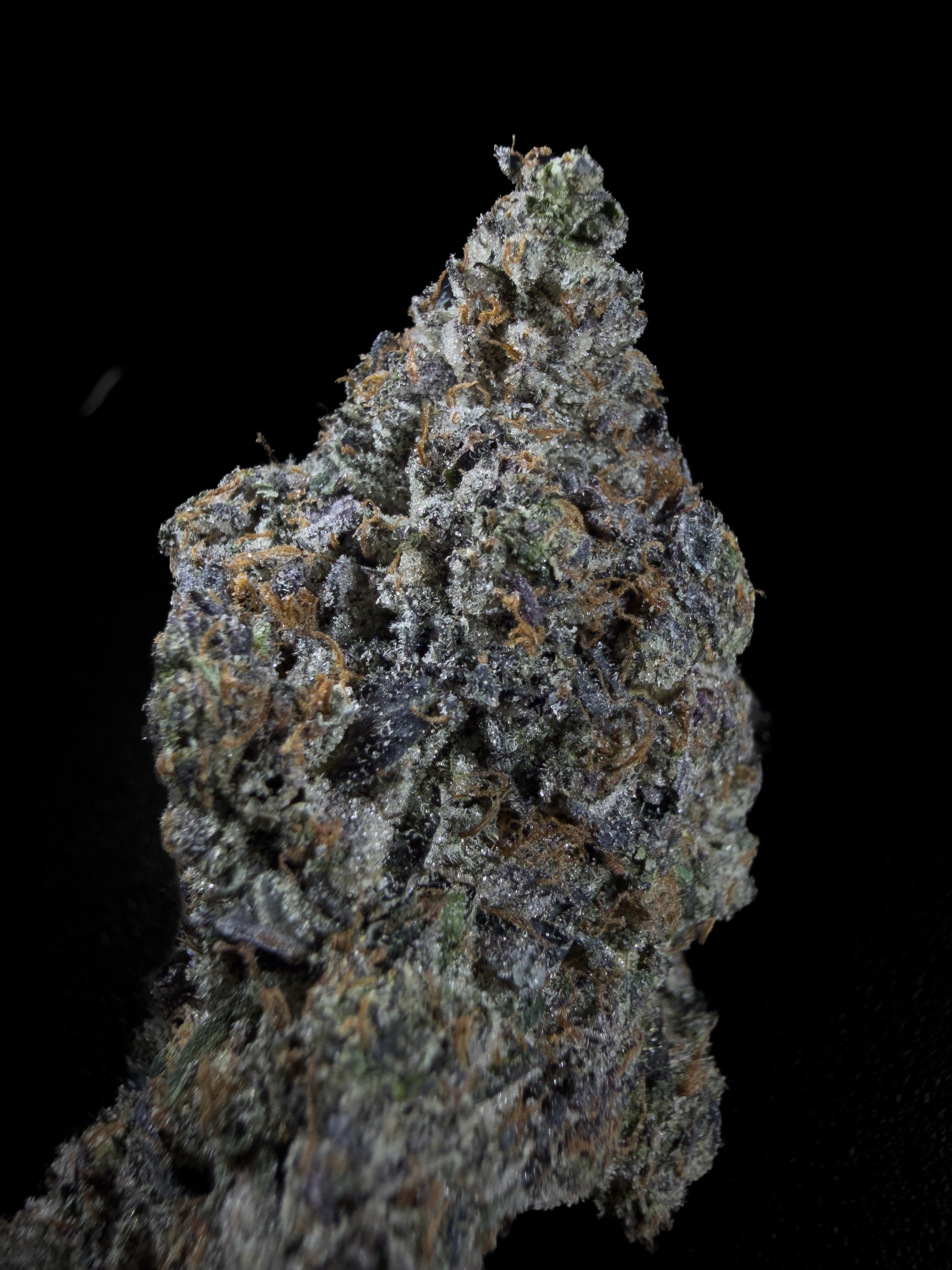 Pink Octane, AAAA+ LSO indica flower from Pinkzotics, Toronto and the GTA