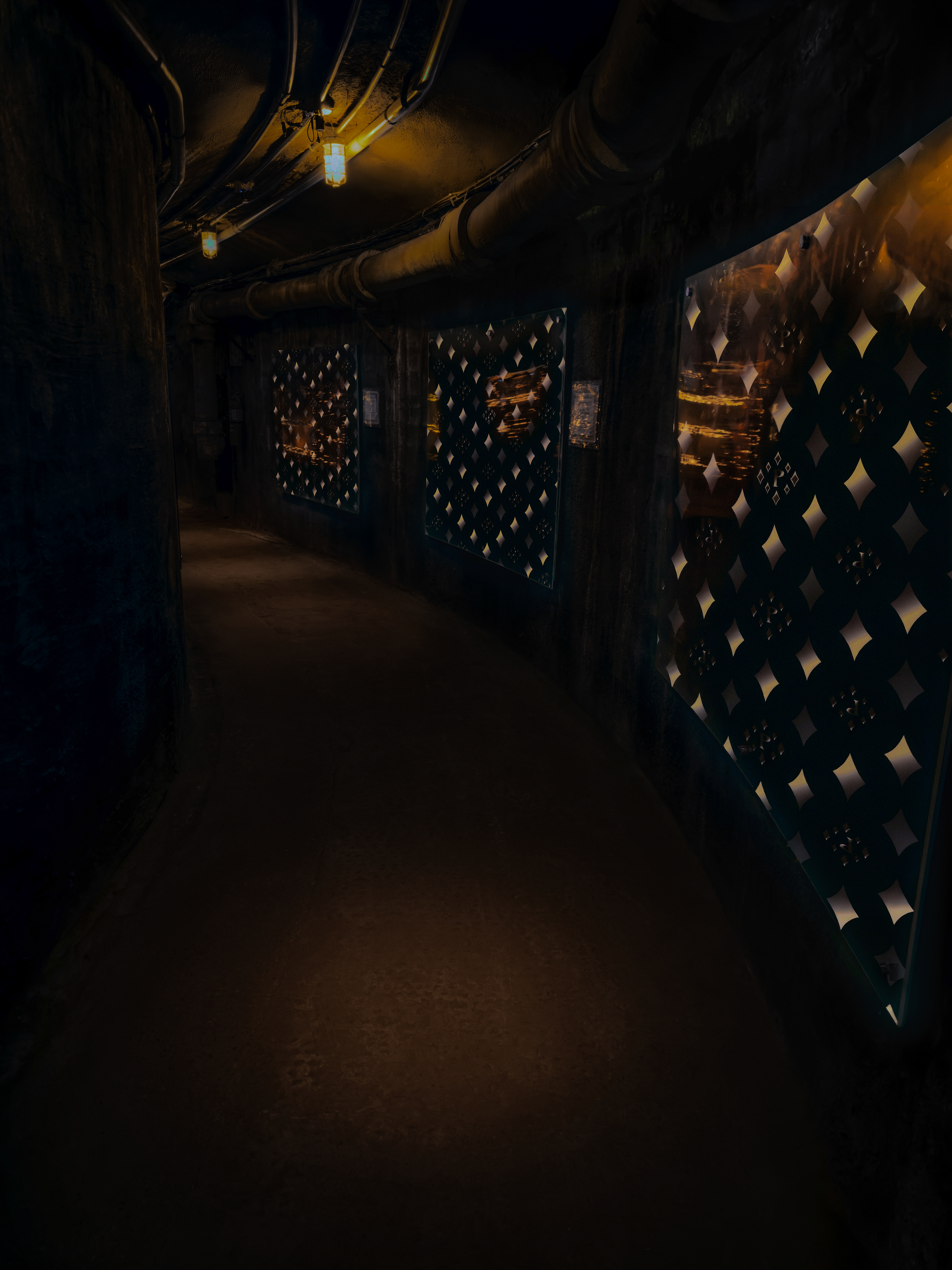 Pinkzotics corridor panel