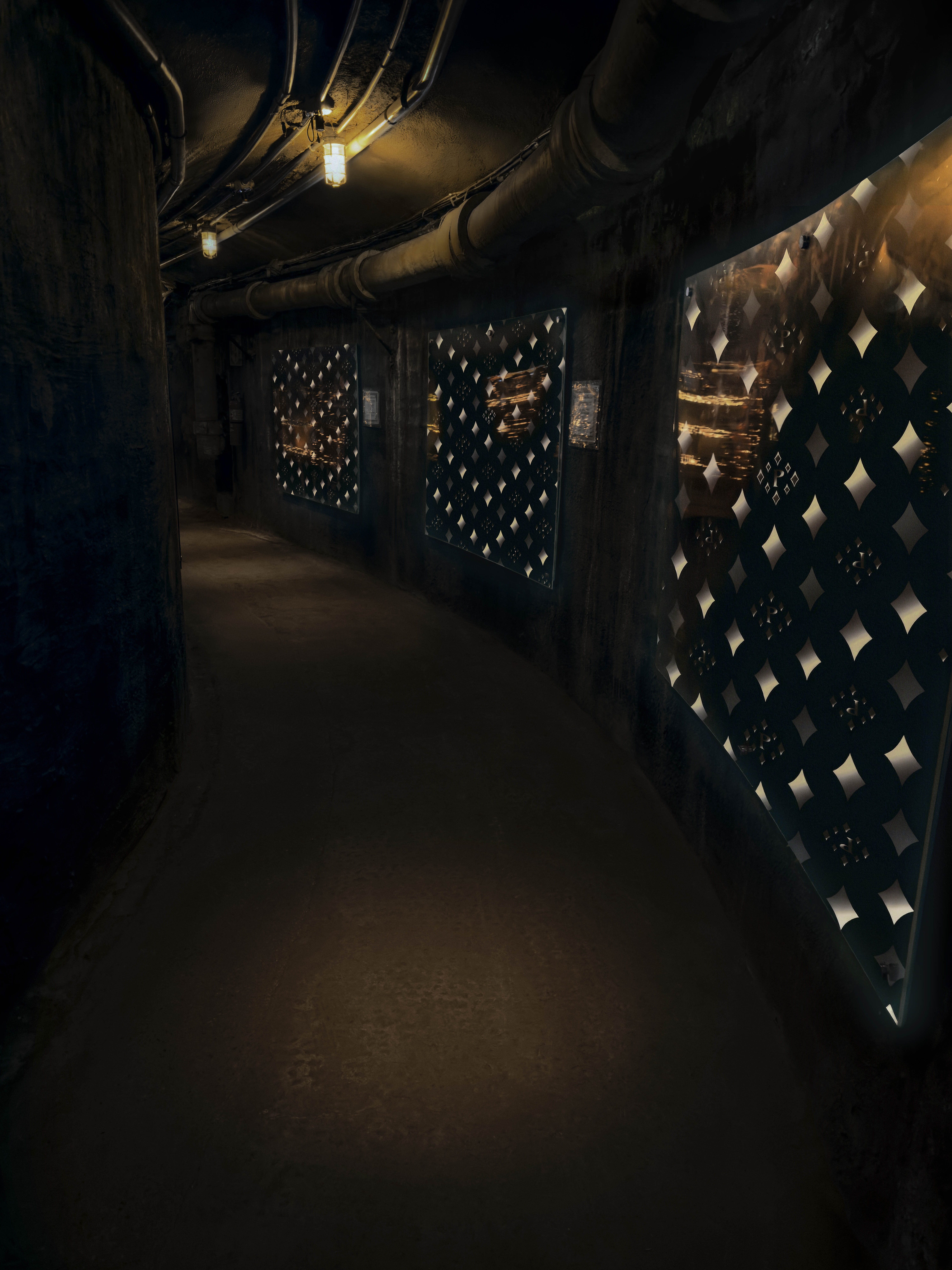 Pinkzotics corridor panel