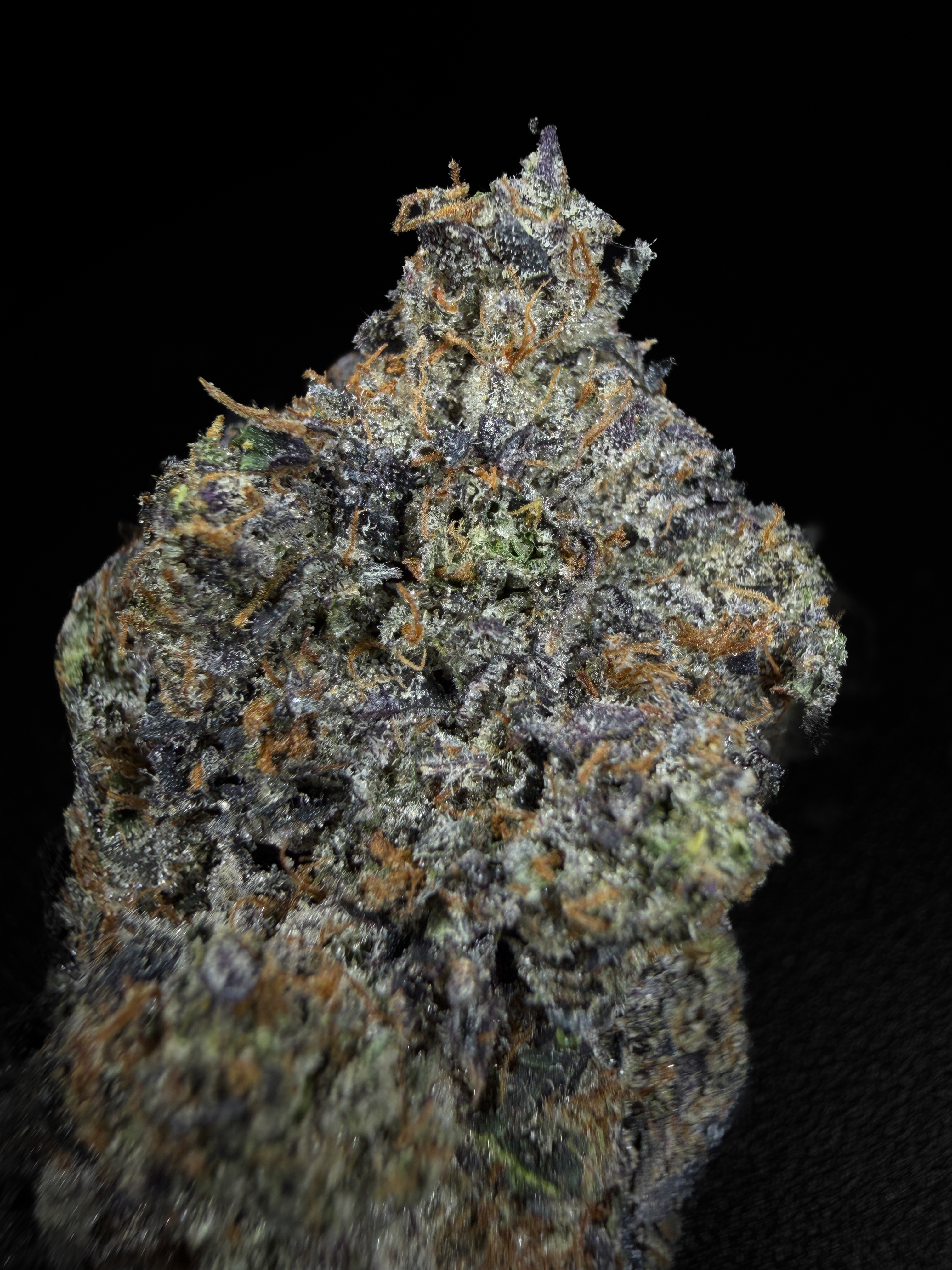 AAAA+ LSO indica flower delivered in Caledon by Pinkzotics