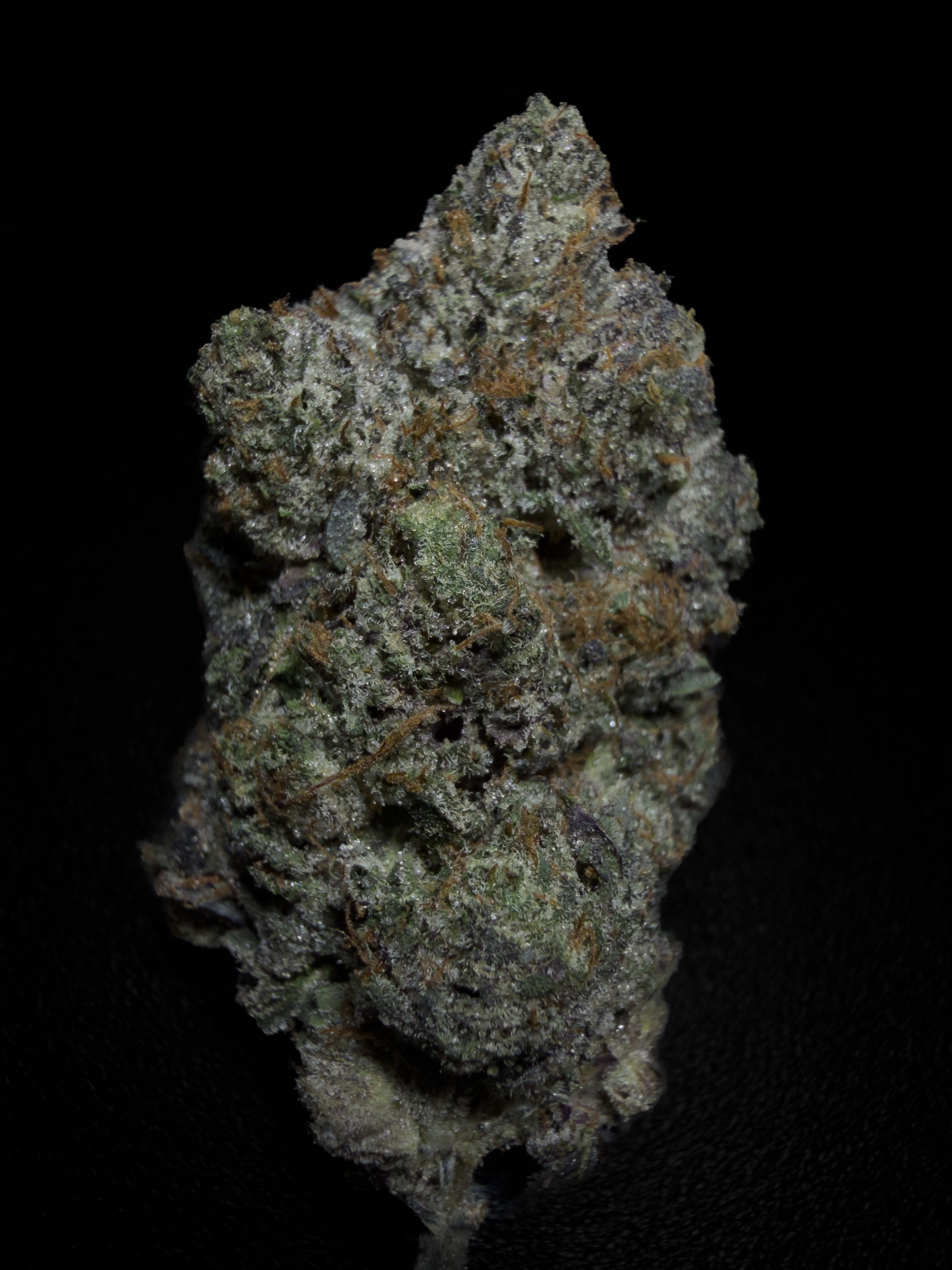 Pink Ghost, AAAA+ LSO indica flower from Pinkzotics, Toronto and the GTA